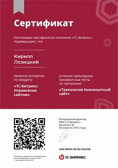 Технология Композитный сайт