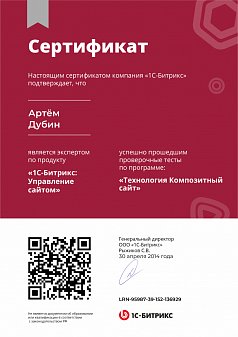 Технология Композитный сайт