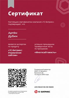 Многосайтовость